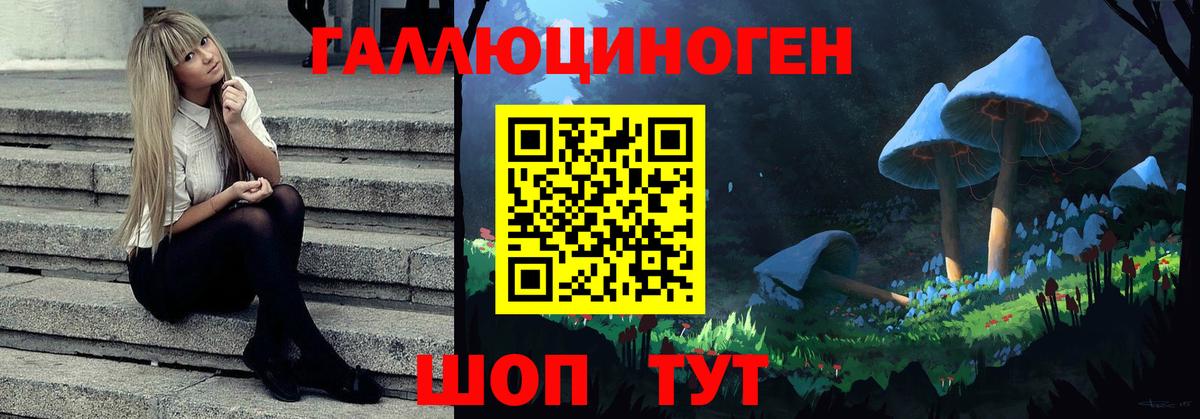 Псилоцибиновые грибы Cubensis  Вход с VPN  Учалы 